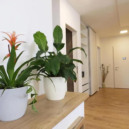 Prázdninový dům Holiday Home Bokan